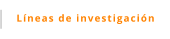 Líneas de investigación